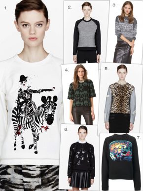 Hot Trend – Fashion Sweatshirts